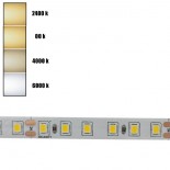 Tira LED 24V | 120xLED/M | 5m | SMD2835 | 1680Lm | 12W/M | IP20