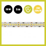 Tira LED 24V | 238xLED/m | 5m | SMD2835 | 2100Lm | 20W/M | IP20