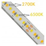Tira LED 24V | 240xLED/M | 5m | SMD2025 | CCT | 10W/M | IP20